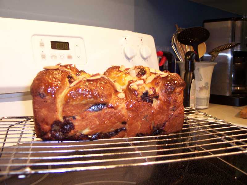 Brie & Blueberry Laminated Brioche The Fresh Loaf
